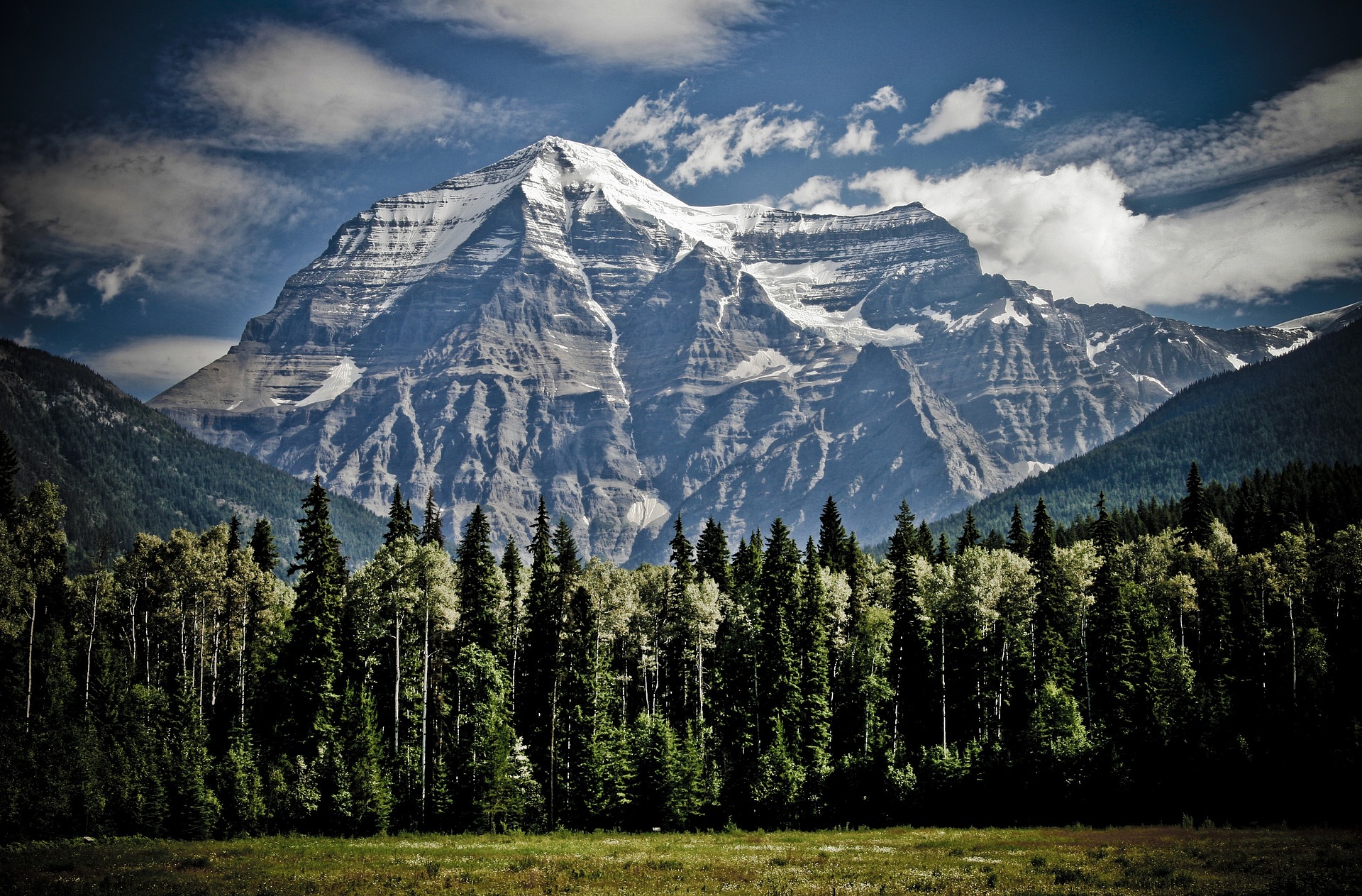 Mountains with Evergreen Trees: You're Stronger Than You Think
